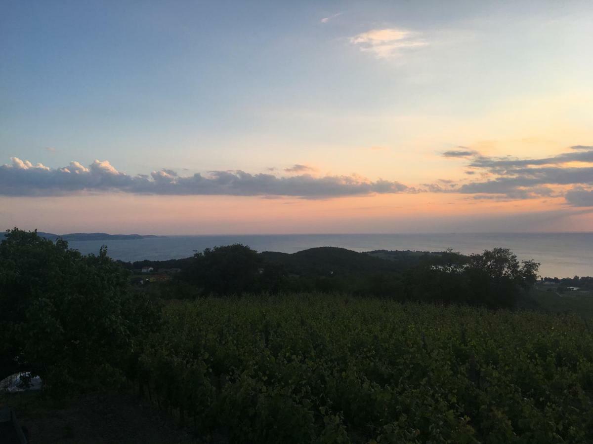 Bella Vista Daire Ankaran Dış mekan fotoğraf