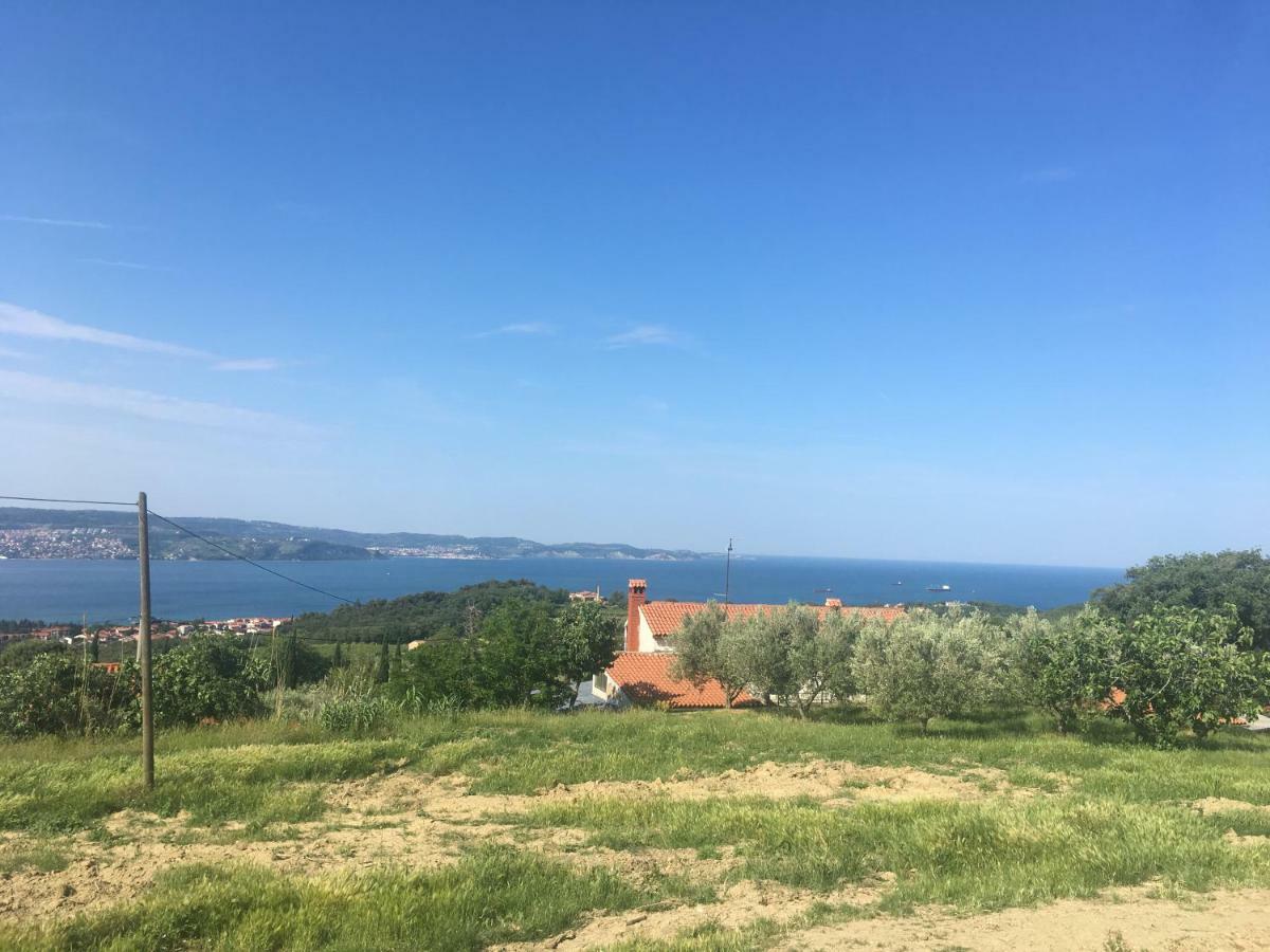 Bella Vista Daire Ankaran Dış mekan fotoğraf