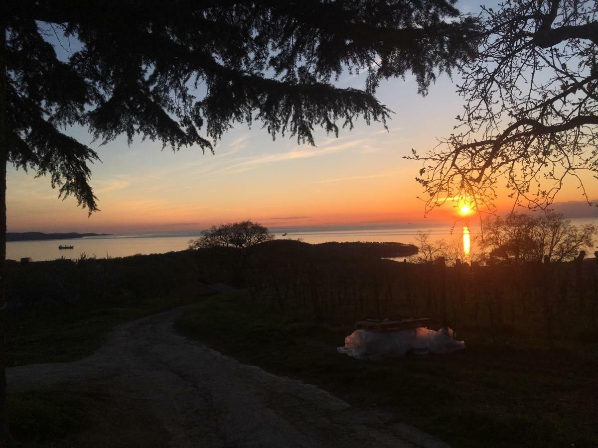 Bella Vista Daire Ankaran Dış mekan fotoğraf