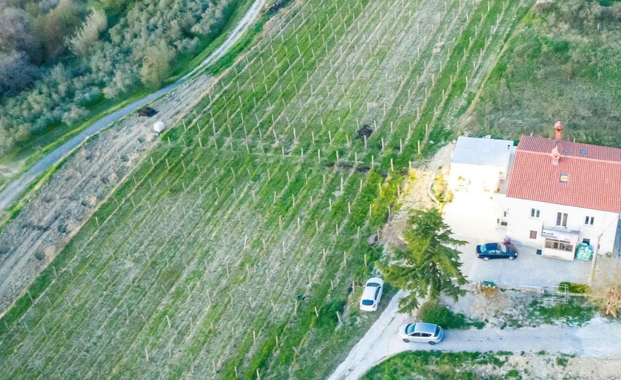 Bella Vista Daire Ankaran Dış mekan fotoğraf