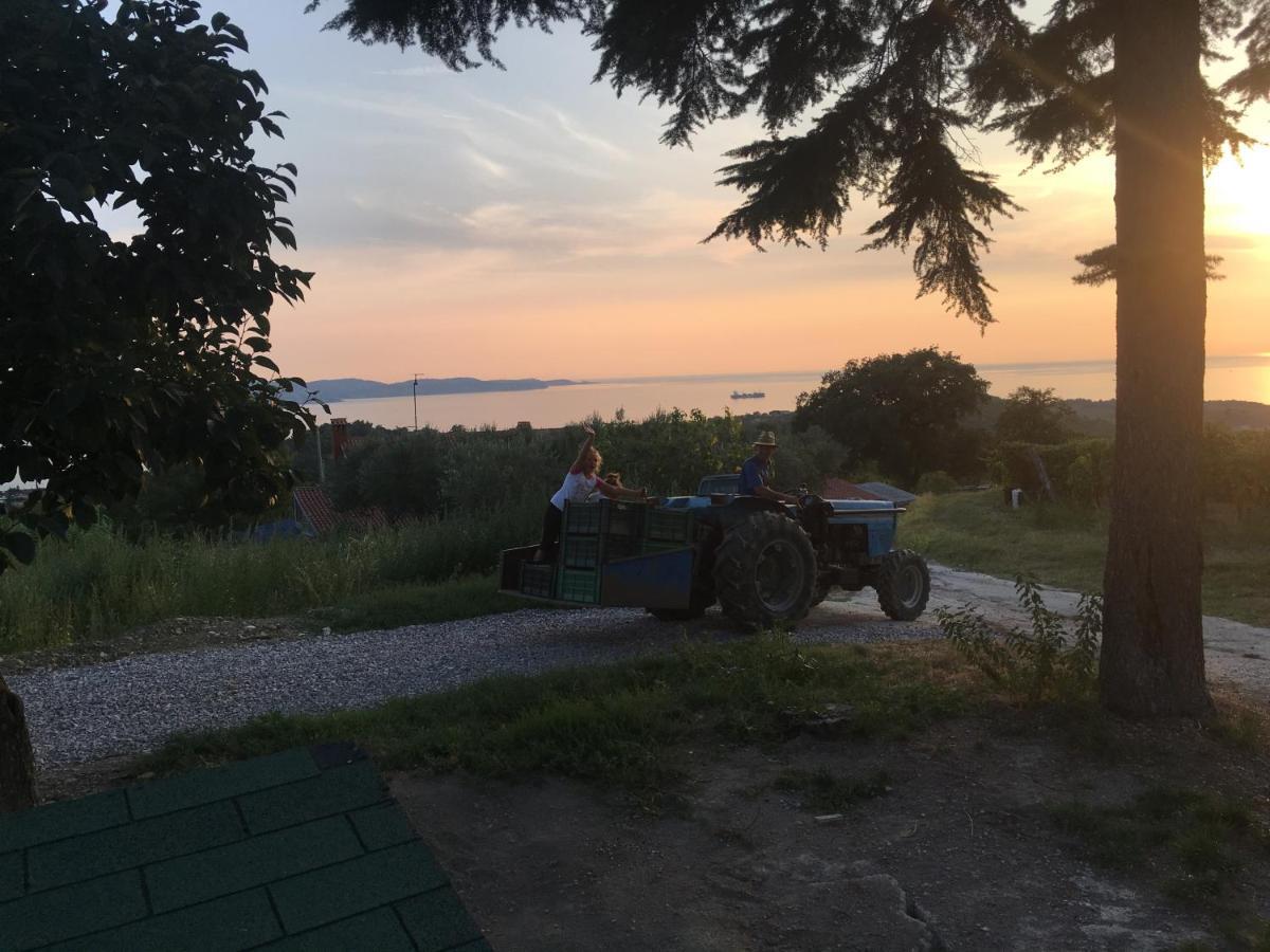 Bella Vista Daire Ankaran Dış mekan fotoğraf